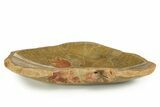 Polished Fossil Coral (Actinocyathus) Dish - Morocco #323042-1